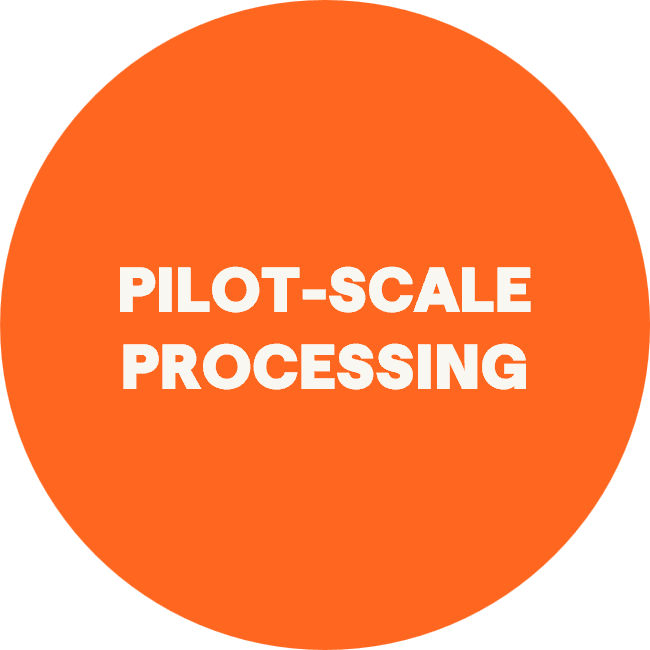 Pilot-scale processing